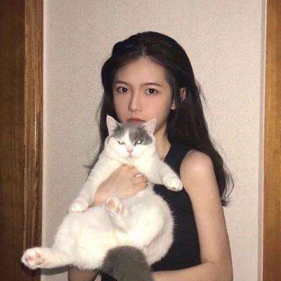 qq餐厅内购破解版下载